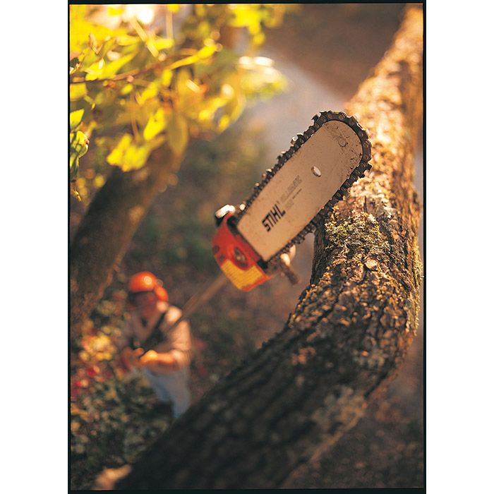 STIHL+HT+100 STIHL HT 100 Pole Pruner - Professional Use Fixed Length Pole Pruner ...