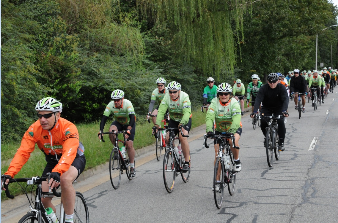 STIHL Tour des Trees (photo credit: Alvin Gilens) STIHL Tour des Trees (photo credit: Alvin Gilens)