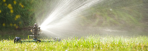 Summer Lawn Care Tips Summer Lawn Care Tips