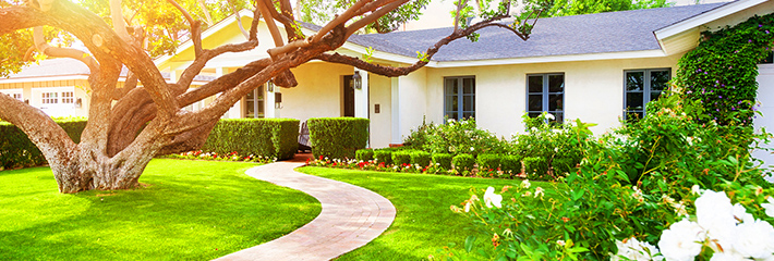 Add Curb Appeal to Your Home Add Curb Appeal to Your Home