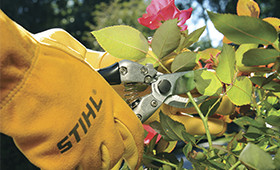 Image of SmallMood
