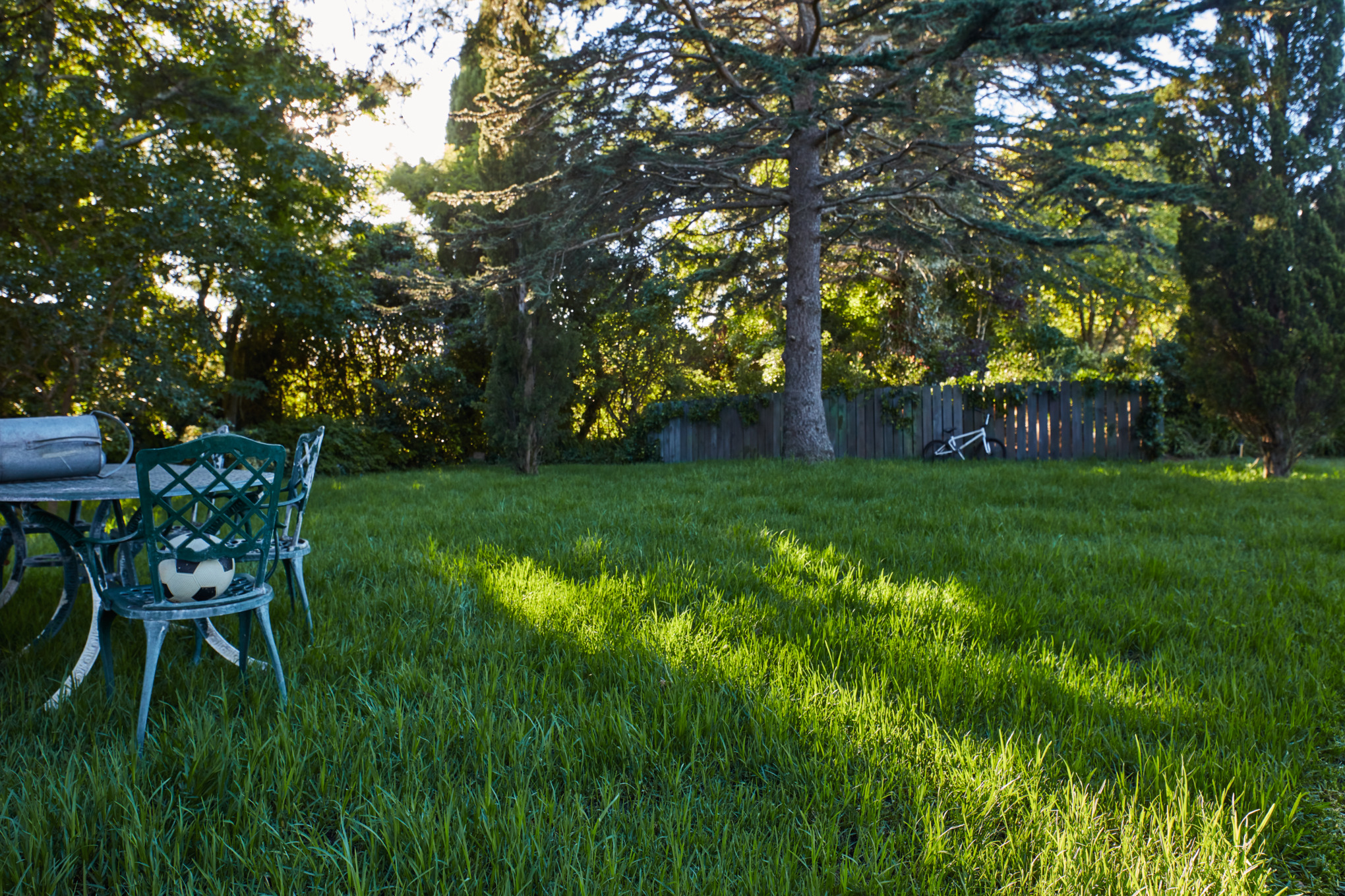 Shade-tolerant lawn with garden table and chairs, in the background a bicycle leans against a wooden fence