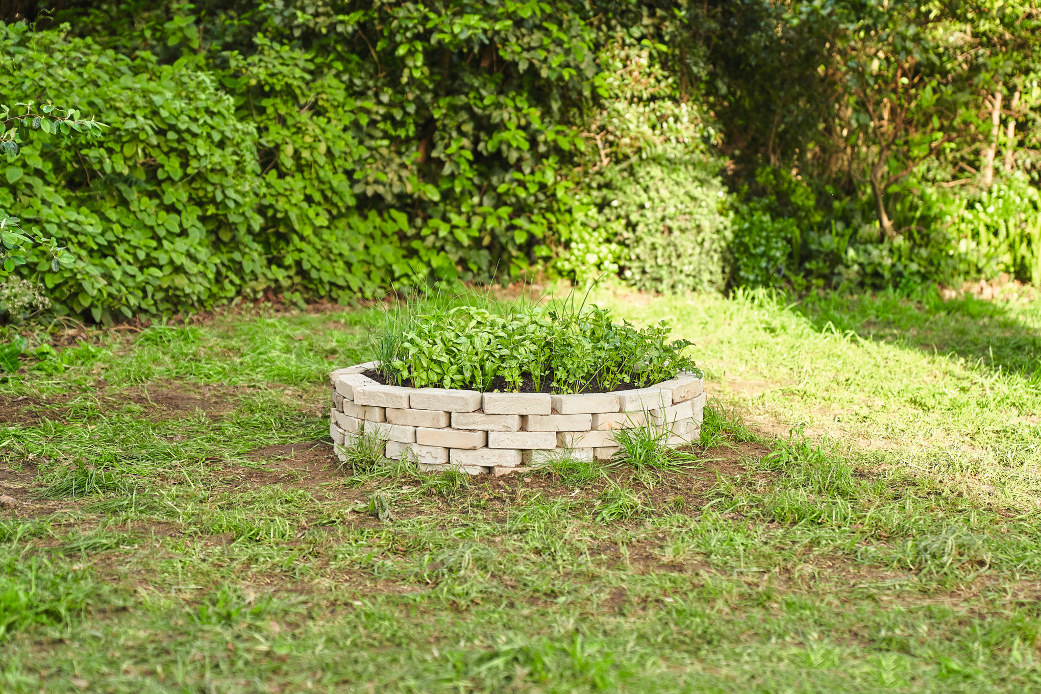A stone-bordered circular bed covering an old tree stump