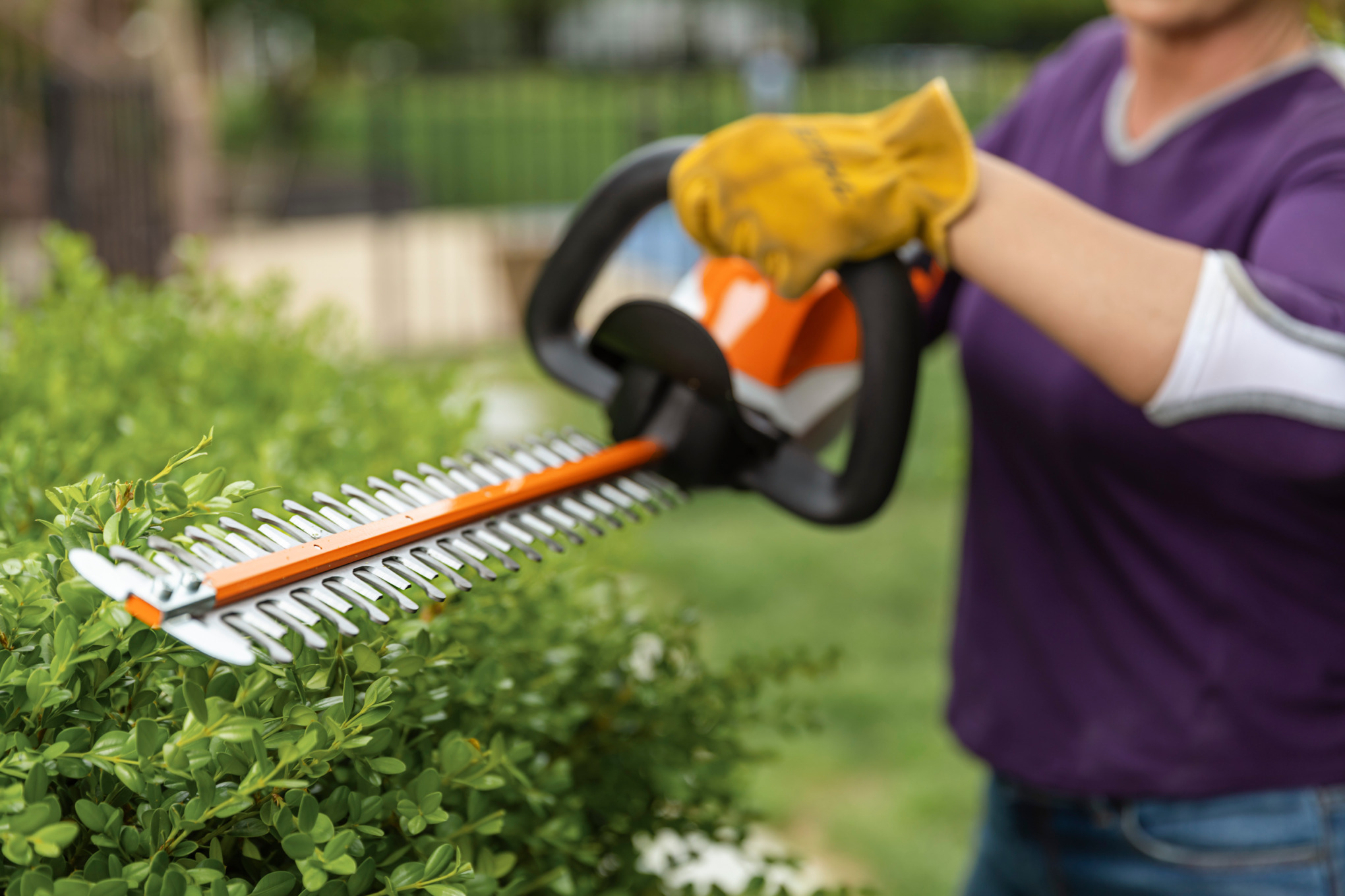 STIHL hedge trimmer trimming bushes