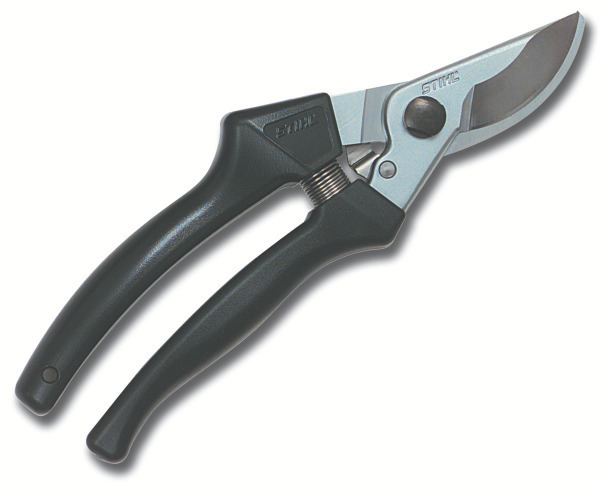 PP 40