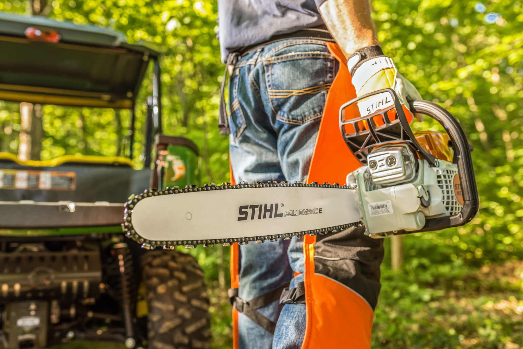 STIHL MS 291 Chainsaw in Forest Environment