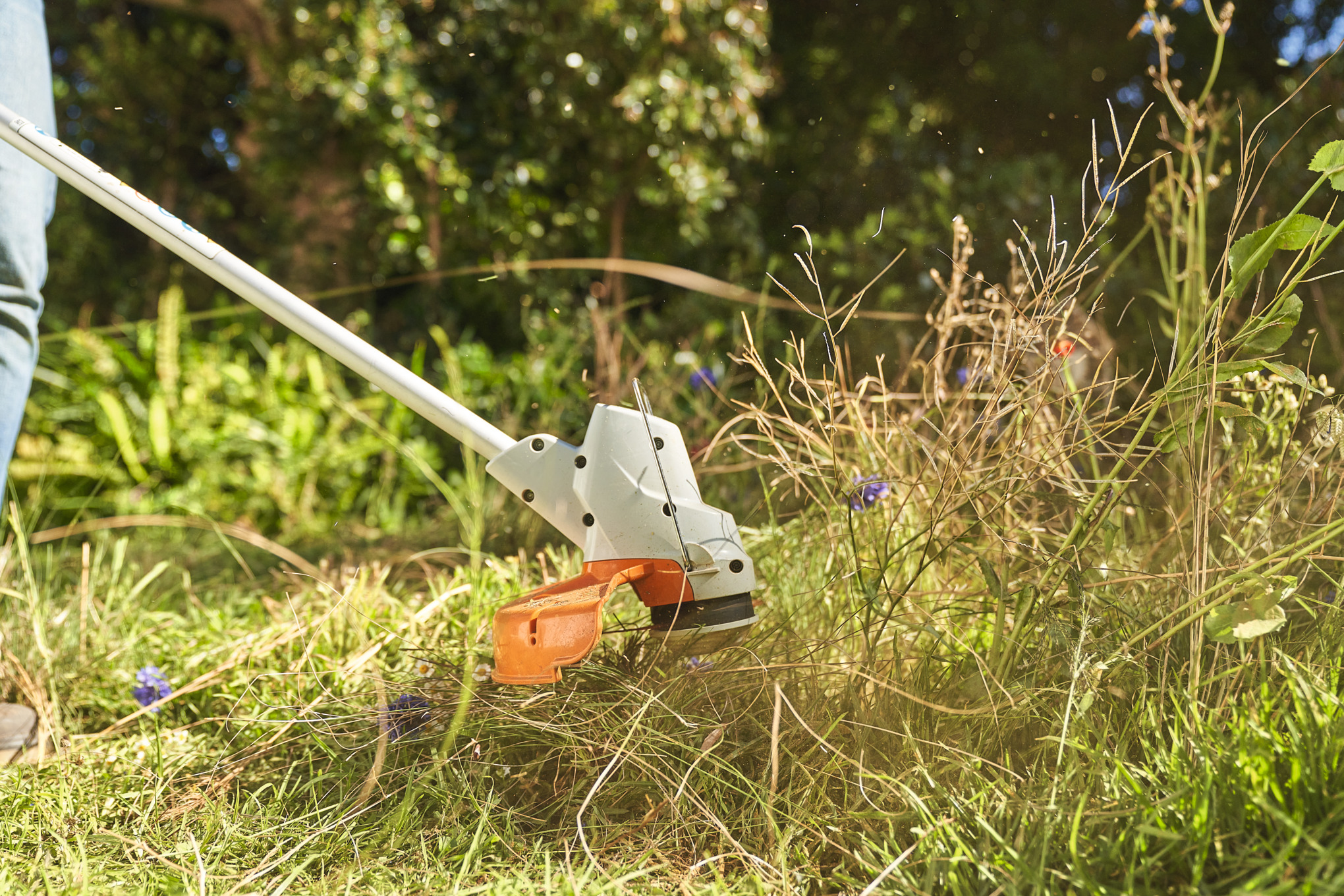 Close-up of someone mowing a wildflower meadow using a STIHL FSA 57 cordless brushcutter