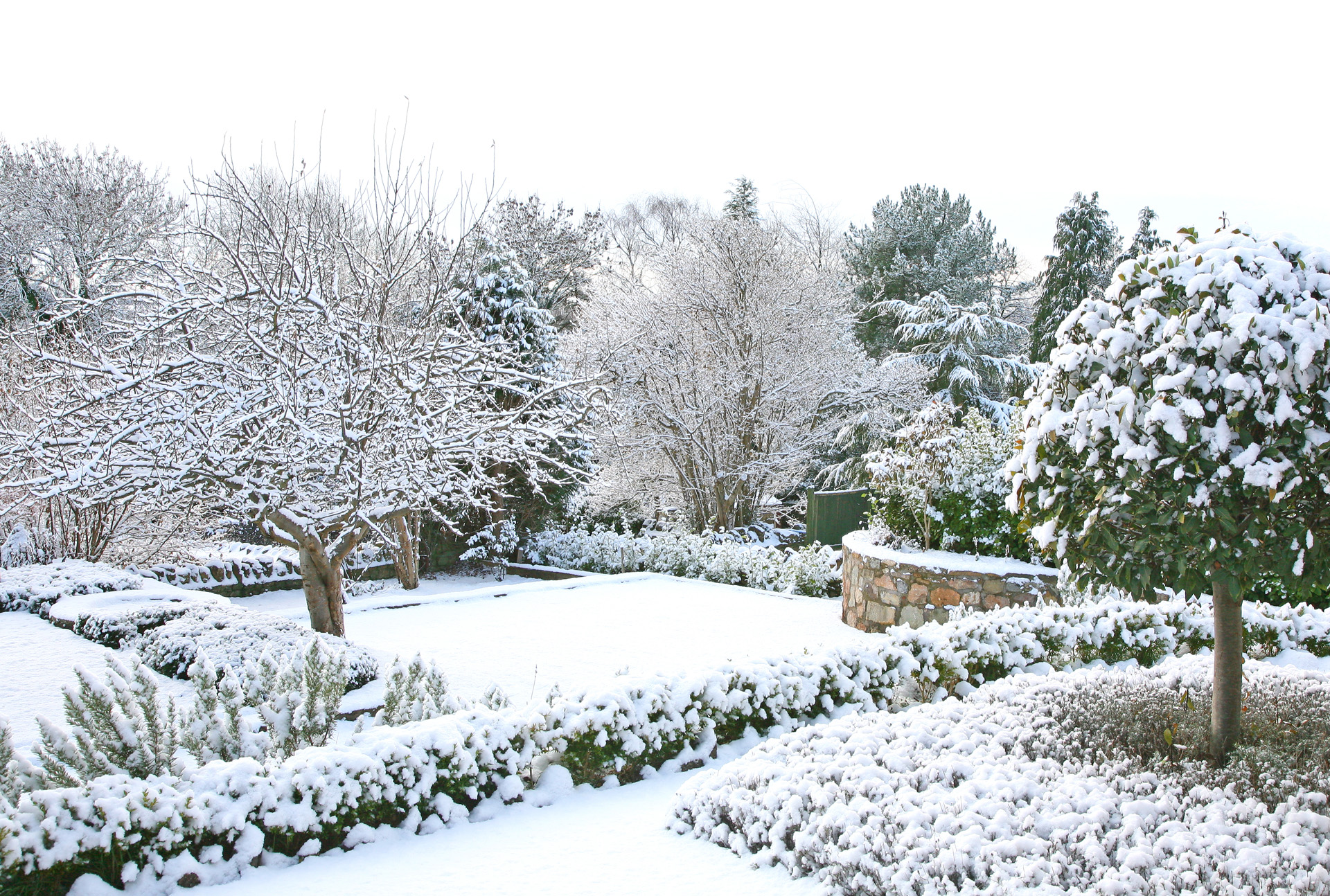 A snow-covered garden in winter