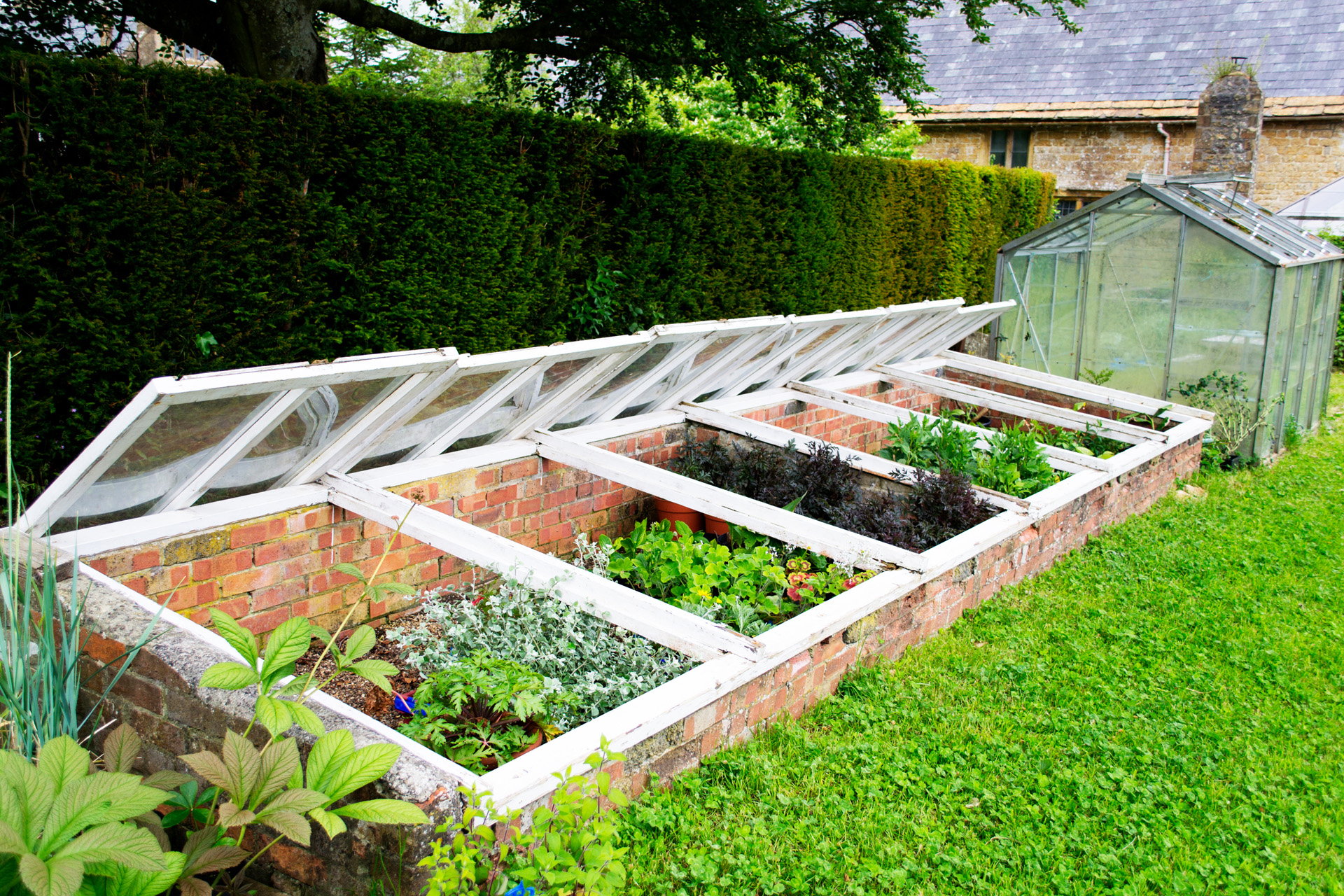  DIY cold frame greenhouse in a garden