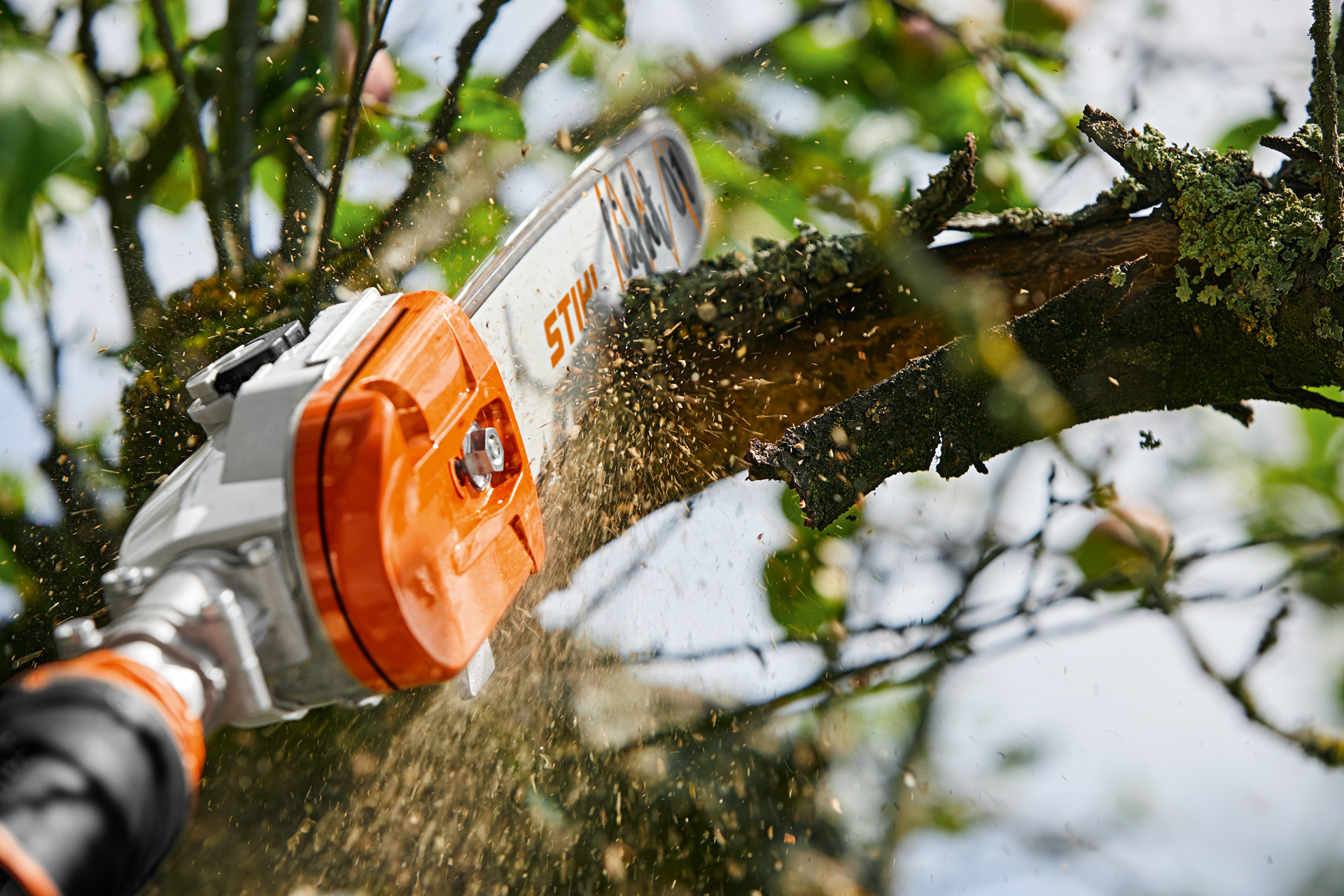 A branch is cut off a fruit tree with a STIHL GTA 26 battery-powered garden pruner