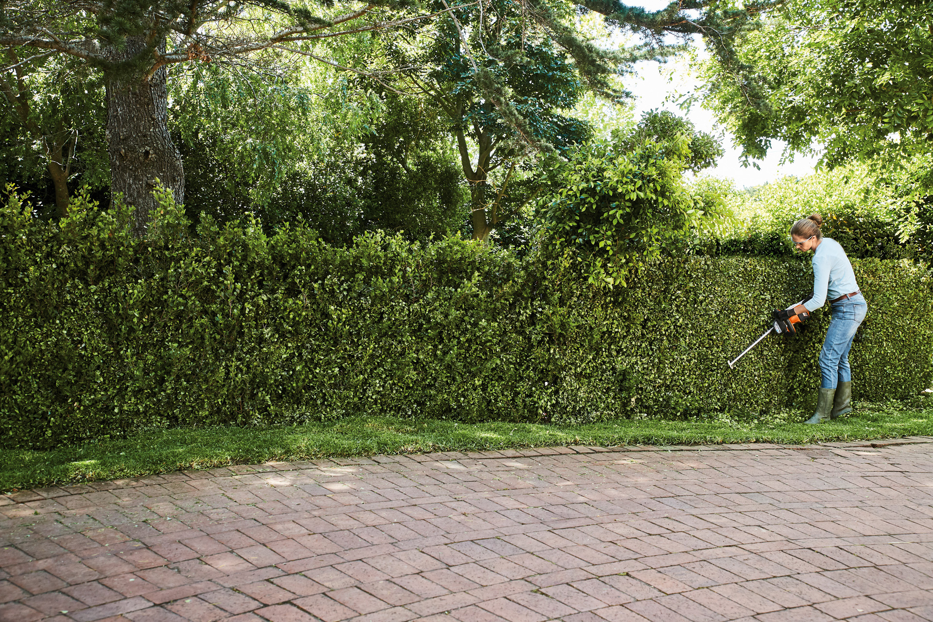 A woman using a STIHL HSA 56 cordless hedge trimmer cuts back a long, tall and green hedge, with trees in the background 