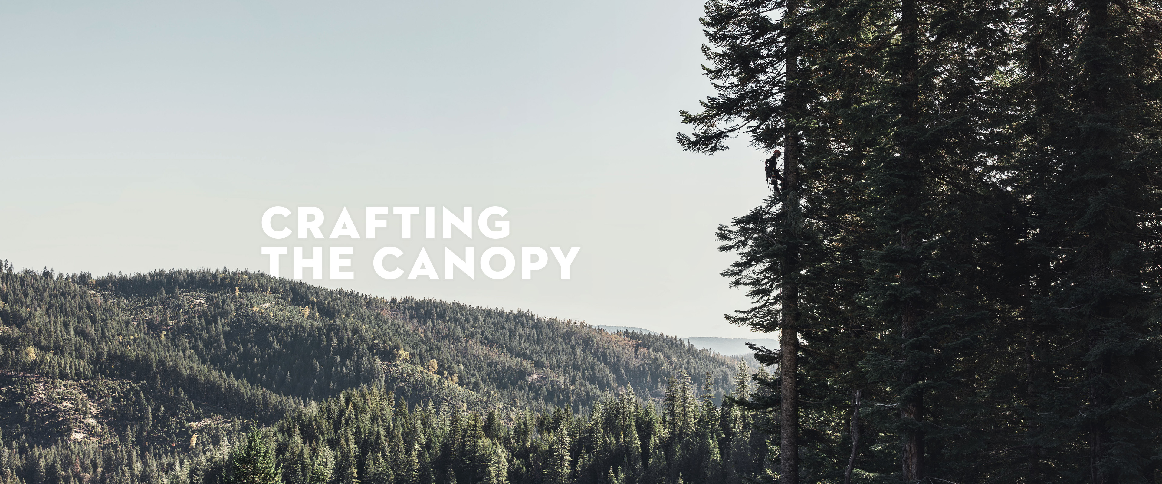 Wide shot of Katelyn Johnson in tall tree with text: Crafting the Canopy