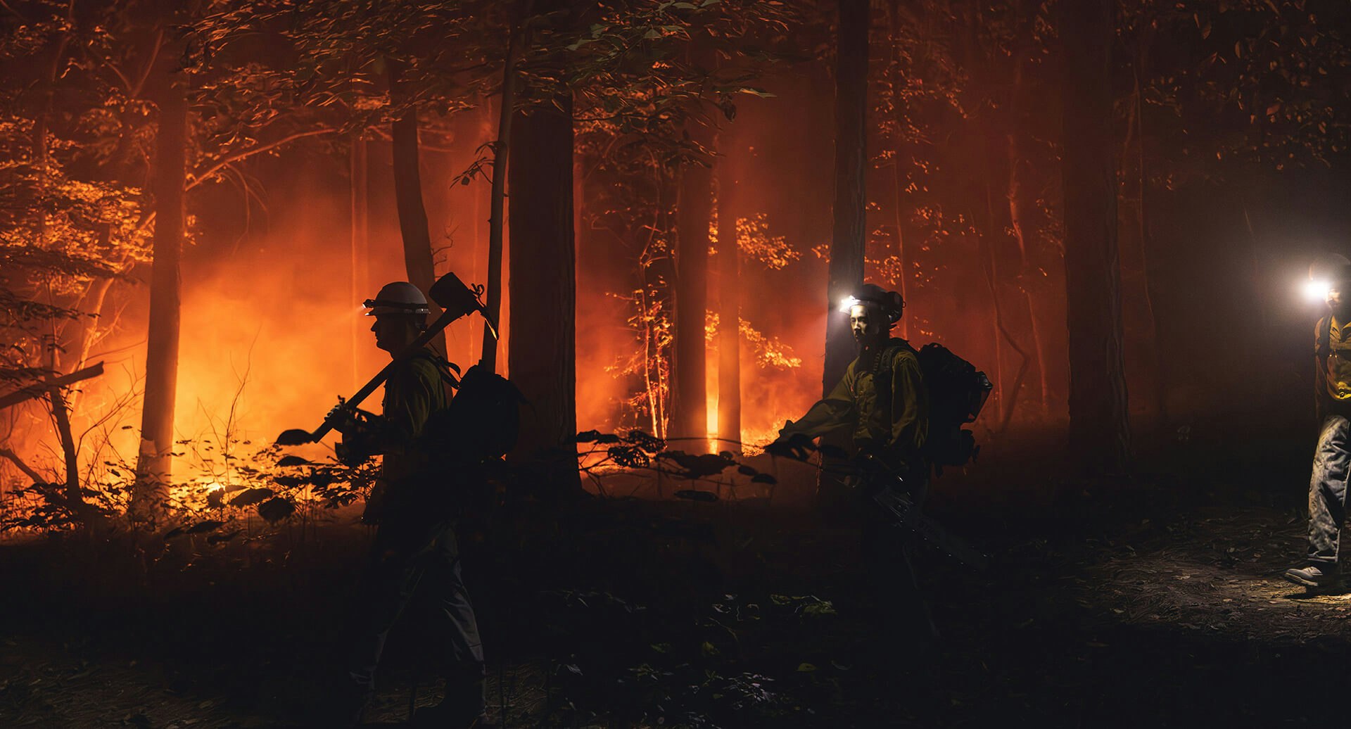 Wildland firefighters in burning forest with STIHL tools