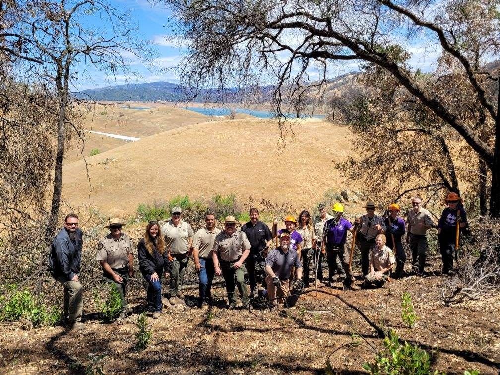 Group of people planting seeds