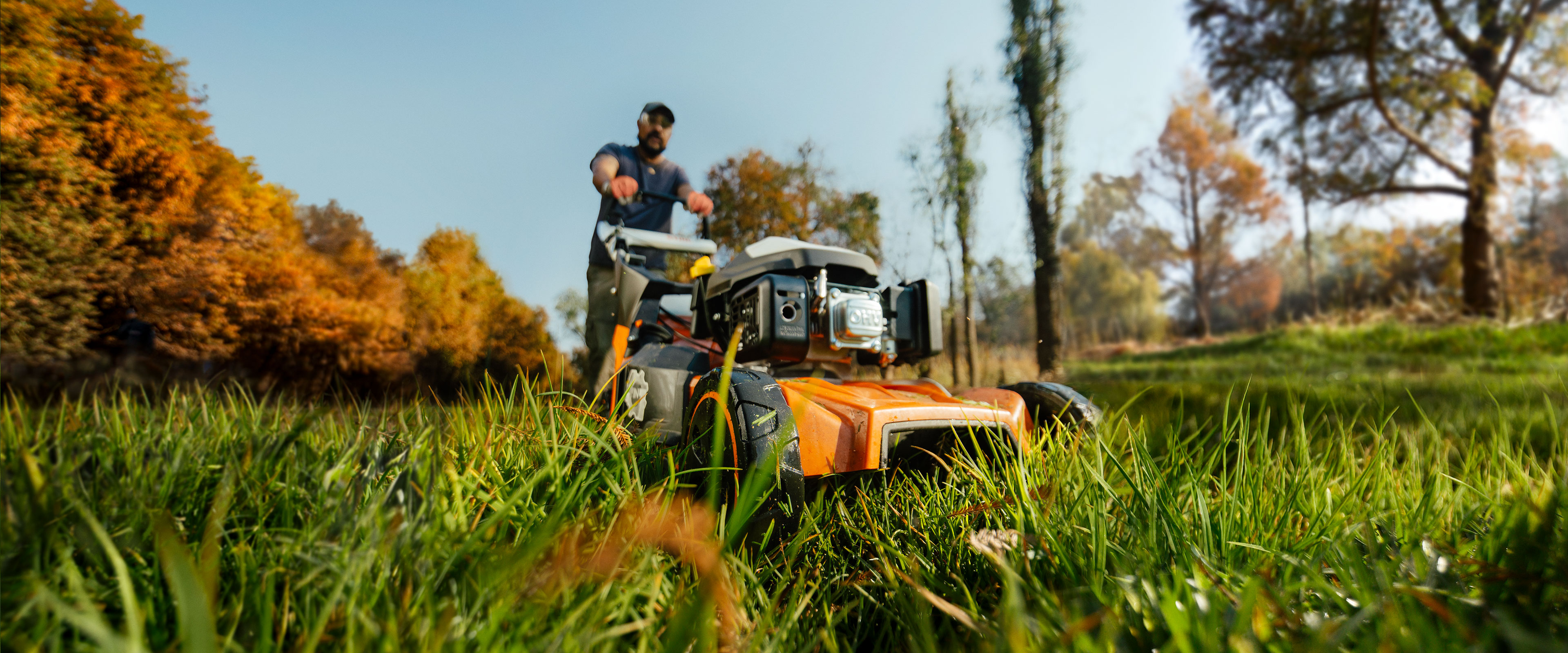 Person pushing an orange STIHL lawn mower through tall grass in an open field, with sunlight and autumn-colored trees in the background.