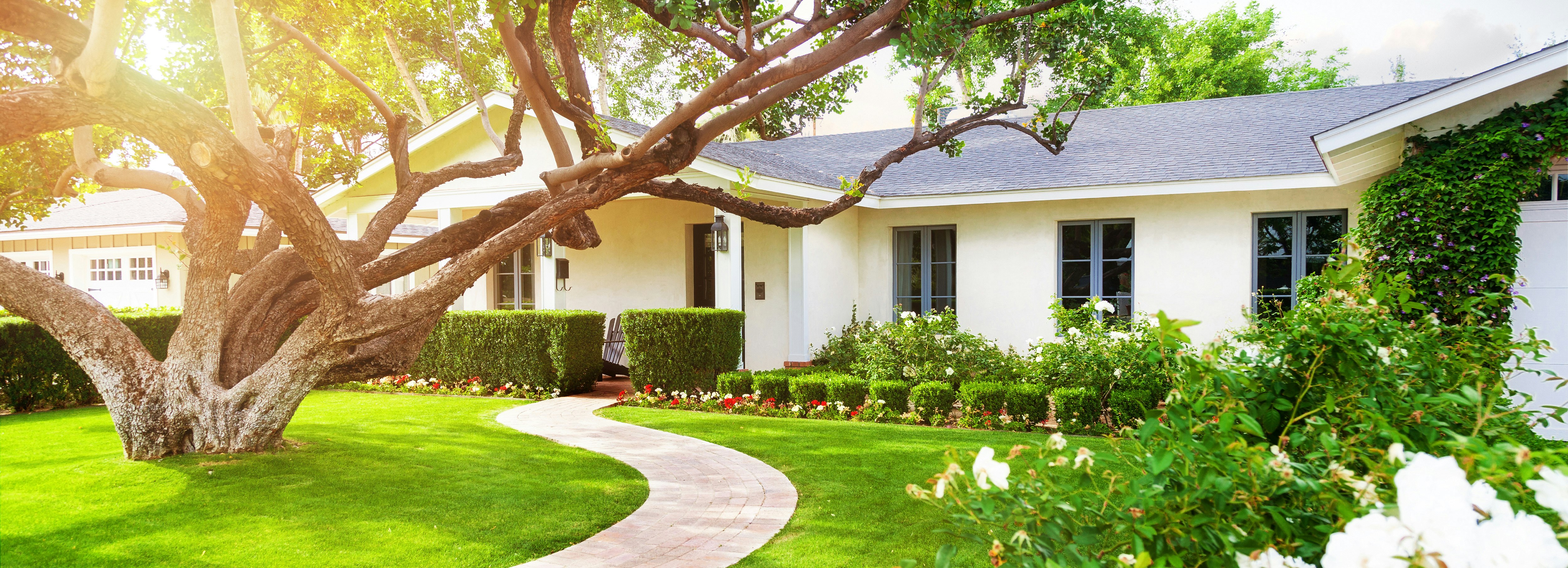 White House with Beautiful Curb Appeal