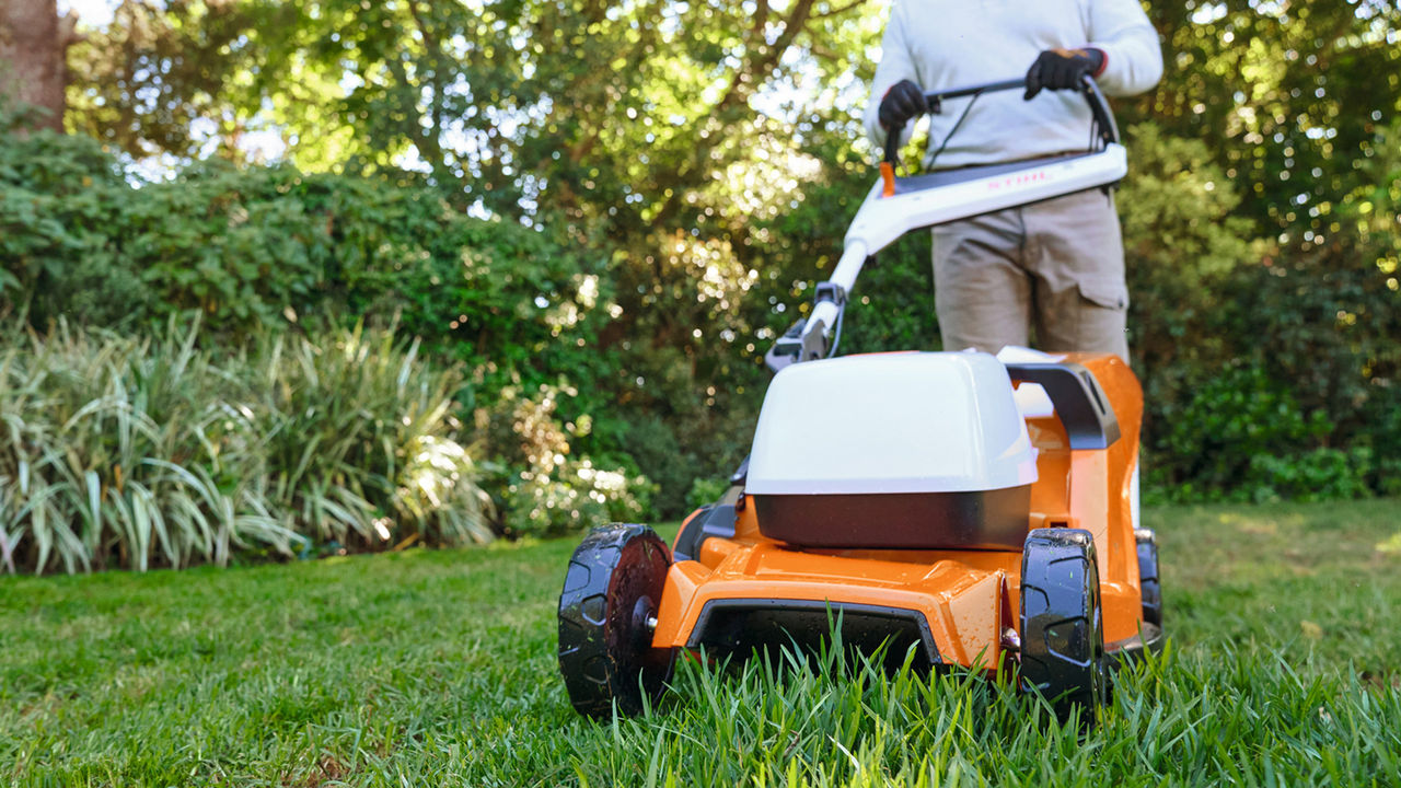 Homeowner mowing a lawn with a STIHL battery-powered push mower and grass bag.