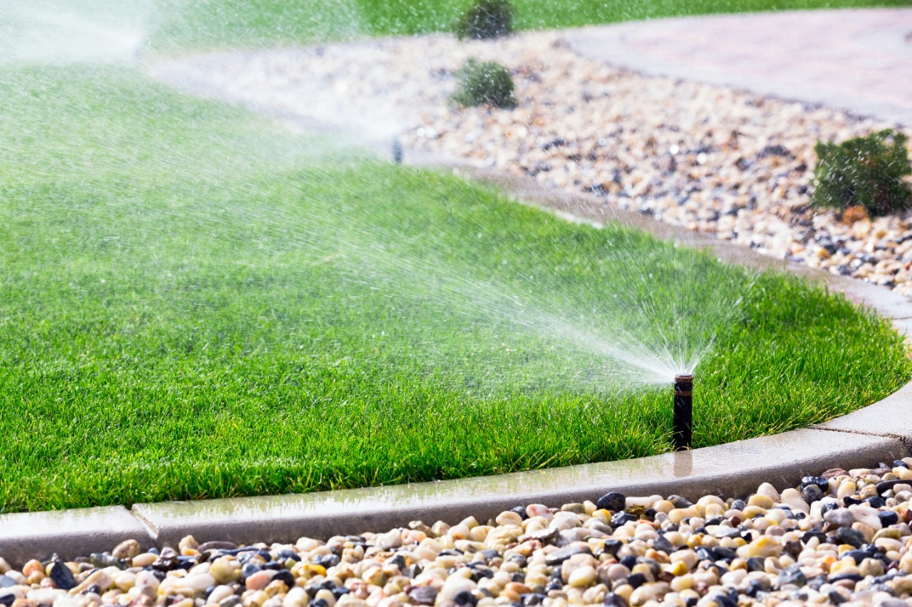 Irrigation Lawn System