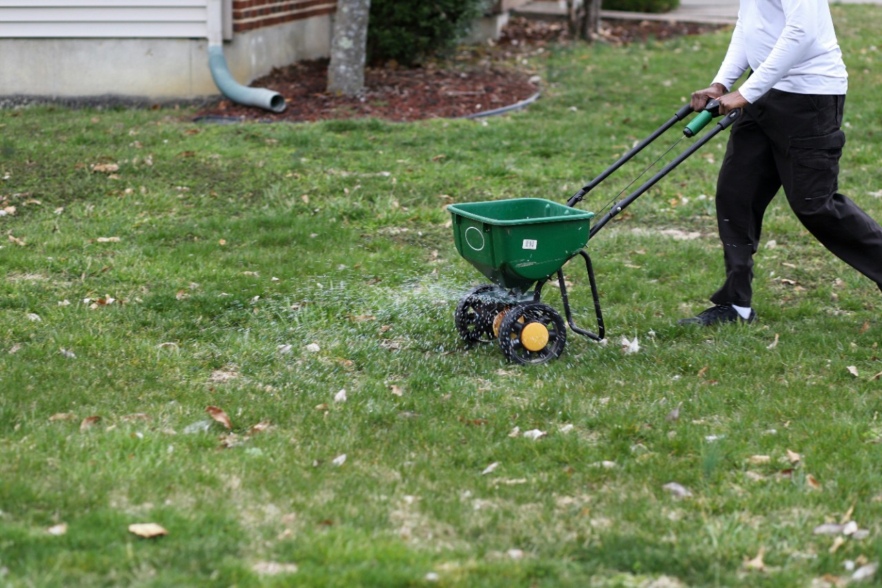 Fertilizing a Backyard