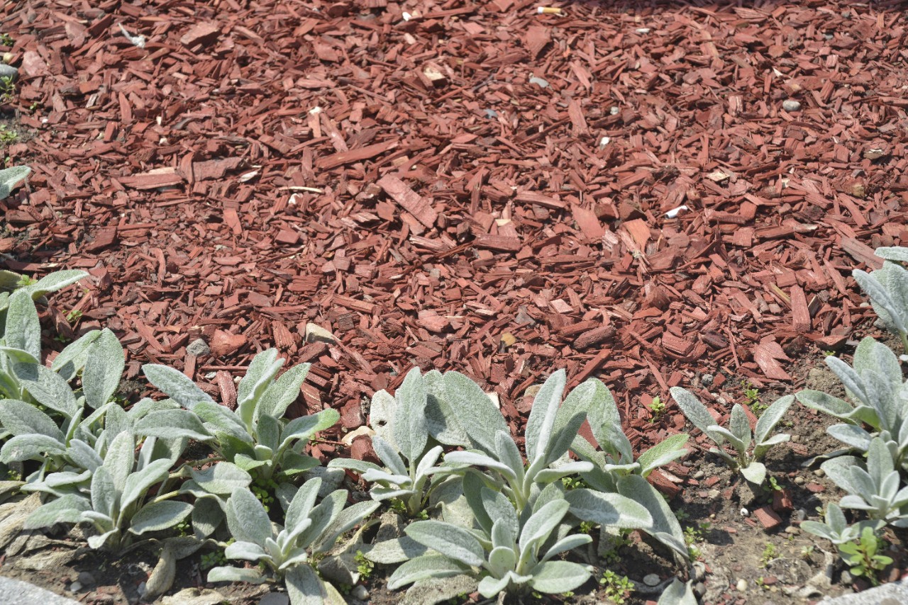 Mulch in Landscaping