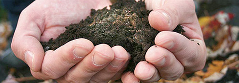 Composting Tips Composting Tips