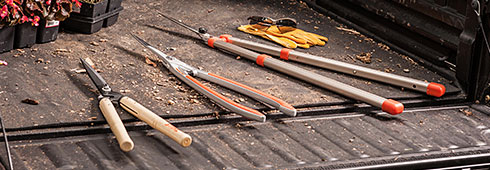 How to Prune Your Property How to Prune Your Property