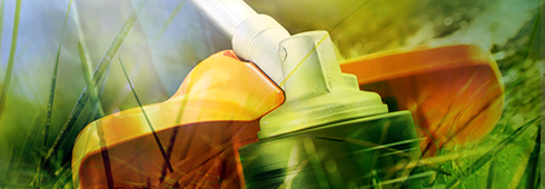 Summer Lawn Care Tips Summer Lawn Care Tips