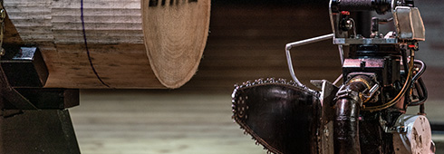 About STIHL TIMBERSPORTS® Series About STIHL TIMBERSPORTS® Series