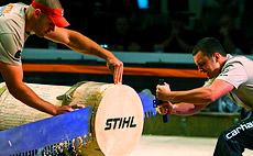 The 2014 STIHL TIMBERSPORTS® U.S. Collegiate Championship will take place on June 20 to 22 at the Norfolk Scope Arena in Norfolk, Va. The 2014 STIHL TIMBERSPORTS® U.S. Collegiate Championship will take place on June 20 to 22 at the Norfolk Scope Arena in Norfolk, Va.