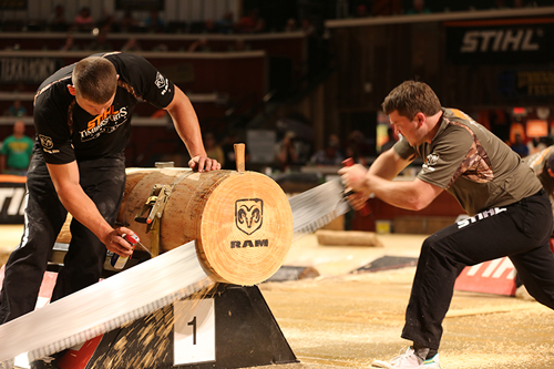 Matt Cogar saws through the single buck at the 2013 STIHL TIMBERSPORTS® U.S. Championship Matt Cogar saws through the single buck at the 2013 STIHL TIMBERSPORTS® U.S. Championship