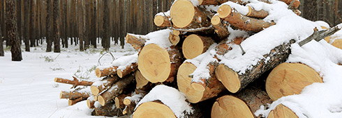 Preparing for Colder Weather Preparing for Colder Weather