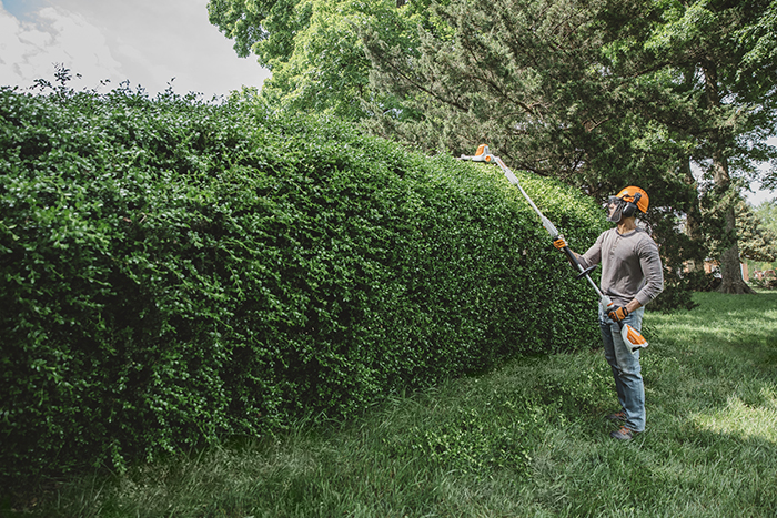 stihl hla 56 long reach hedge trimmer