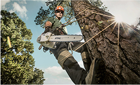STIHL Arborist Collection